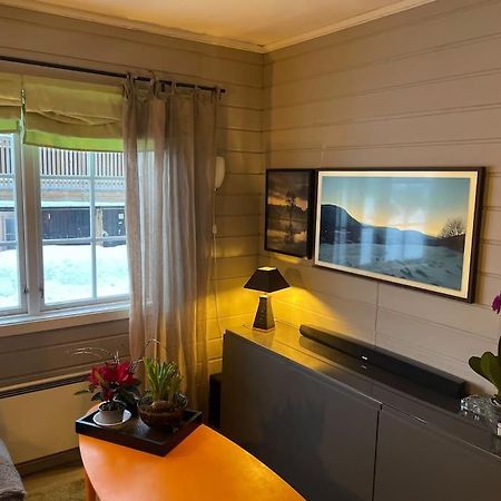 Koselig Leilighet , Med Parkering Og Ski In &Out. Διαμέρισμα Oppdal Εξωτερικό φωτογραφία