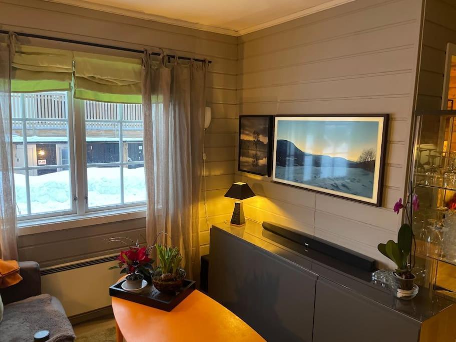Koselig Leilighet , Med Parkering Og Ski In &Out. Διαμέρισμα Oppdal Εξωτερικό φωτογραφία