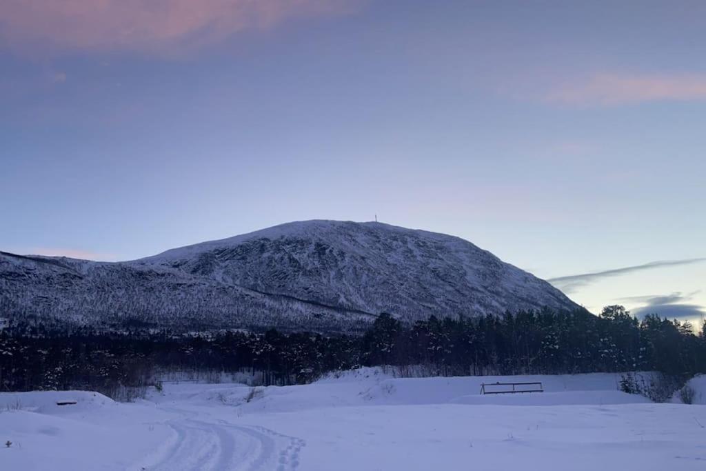 Koselig Leilighet , Med Parkering Og Ski In &Out. Διαμέρισμα Oppdal Εξωτερικό φωτογραφία
